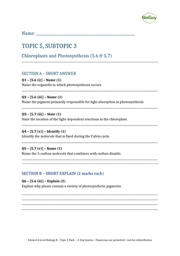 docx, 955.74 KB