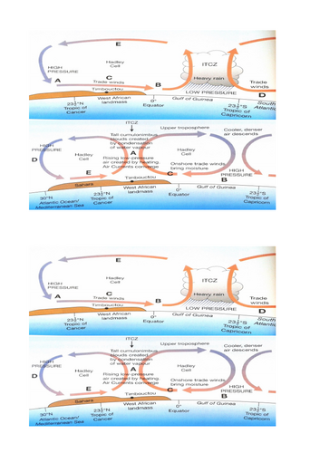 docx, 2.03 MB