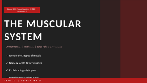 Muscular System | Edexcel GCSE PE | Teacher PPT – Click-Reveal Slides ...