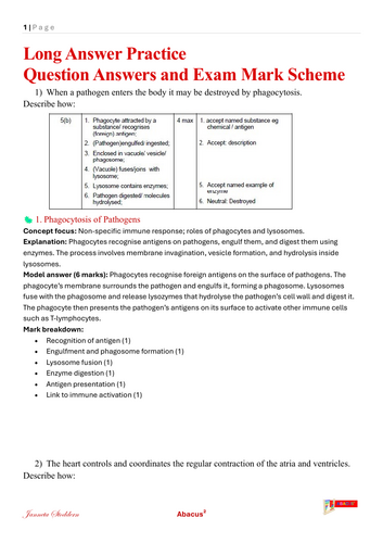 pdf, 4.11 MB