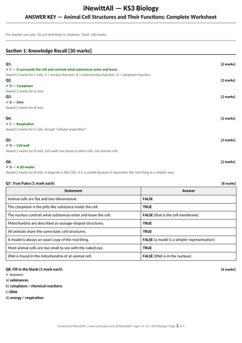 docx, 15.92 KB
