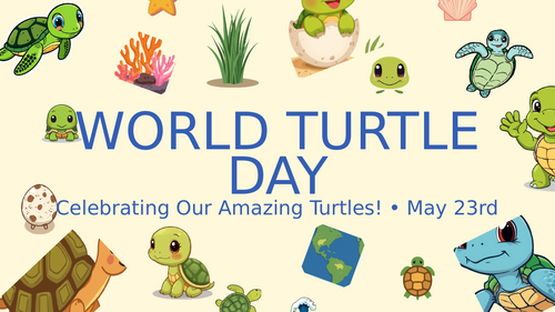 World Turtle Day Assembly | KS1 & KS2 | Animals, Habitats, Conservation ...
