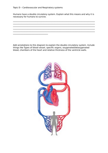 docx, 685.64 KB