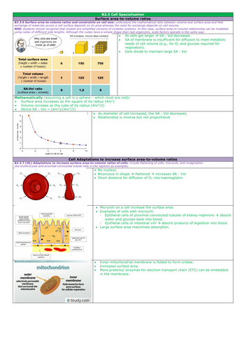 pdf, 1.02 MB