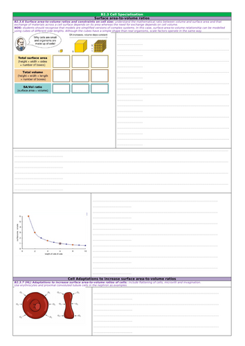 docx, 1.15 MB