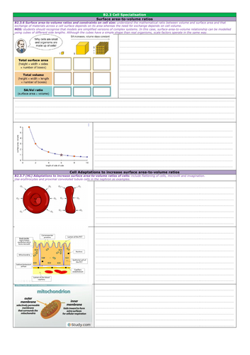 pdf, 1022.14 KB