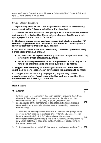 docx, 16.92 KB