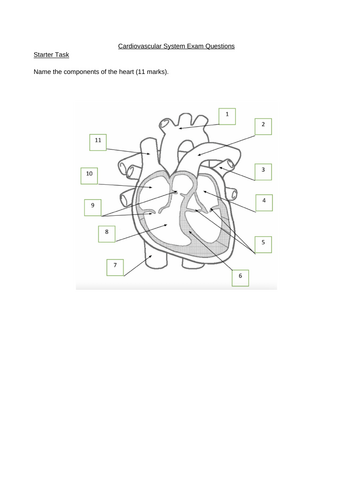 docx, 1.56 MB