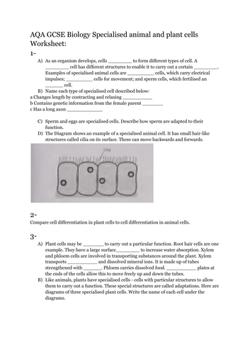 pdf, 121.4 KB