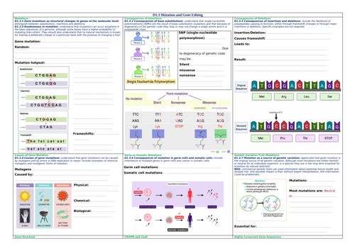 docx, 3.62 MB