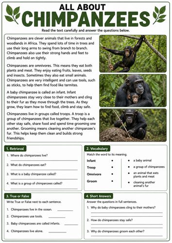 All About Chimpanzees Worksheet | KS1 Non Fiction Reading Comprehension ...