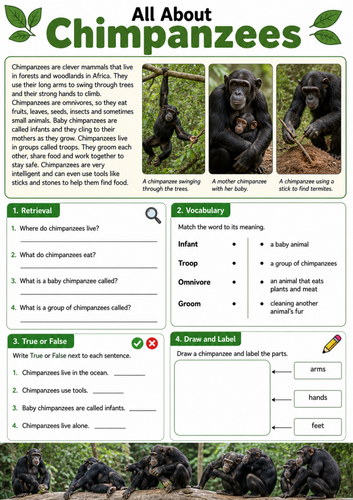 All About Chimpanzees Worksheet | KS1 Non Fiction Reading Comprehension ...