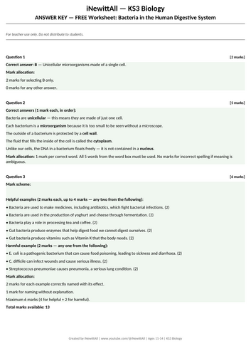 docx, 9.1 KB