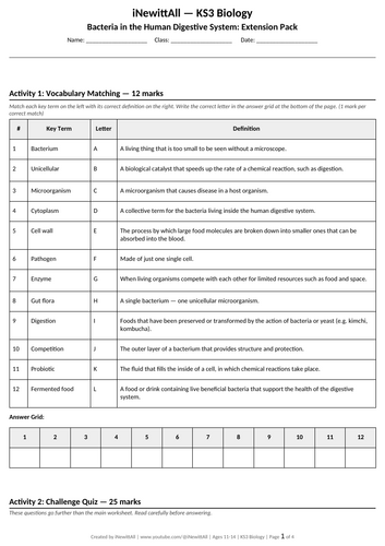 docx, 16.02 KB