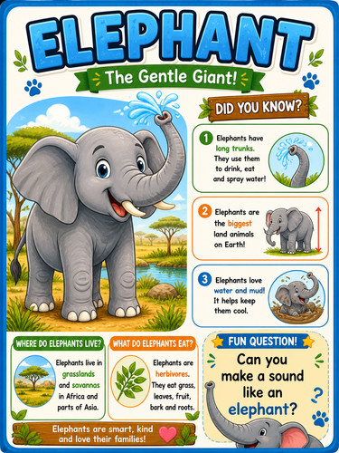 10 Animal Posters for Early Years & KS1 | Teaching Resources
