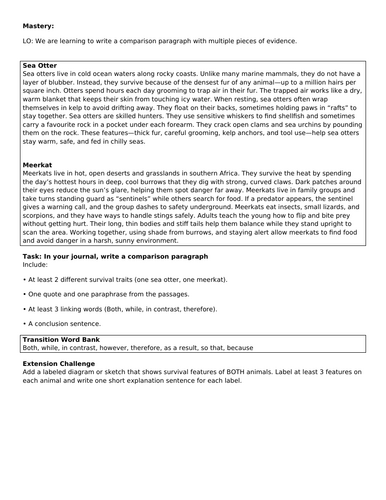 docx, 34.49 KB