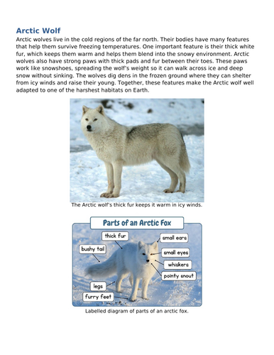 docx, 718.61 KB