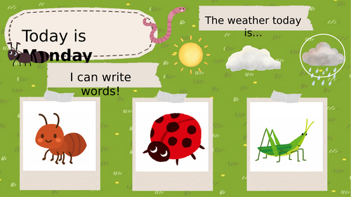 Minibeast morning work EYFS