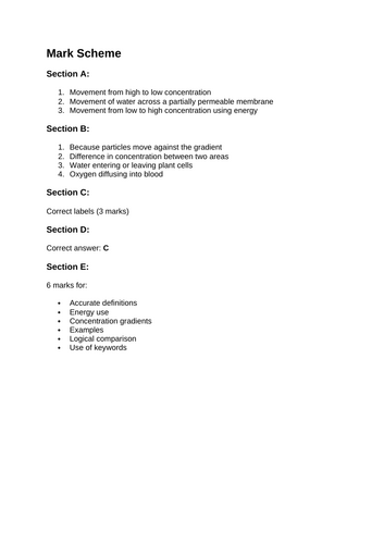 docx, 15.17 KB