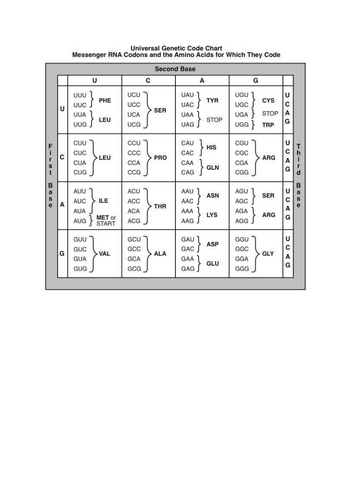 docx, 56.57 KB