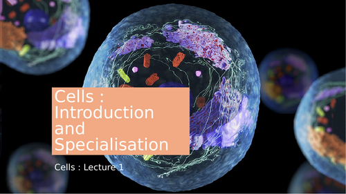 GCSE Cell Biology Slides (Prokaryote/Eukaryote, Specialised Cells, Cell Organisation)