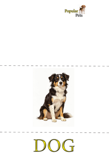 pdf, 4.95 MB