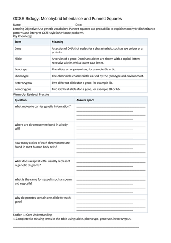 docx, 4.54 KB