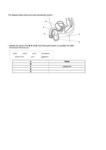 docx, 84.48 KB