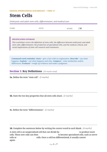 docx, 13.24 KB