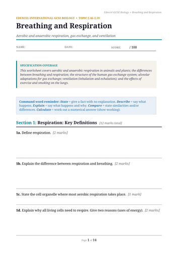 docx, 15.9 KB
