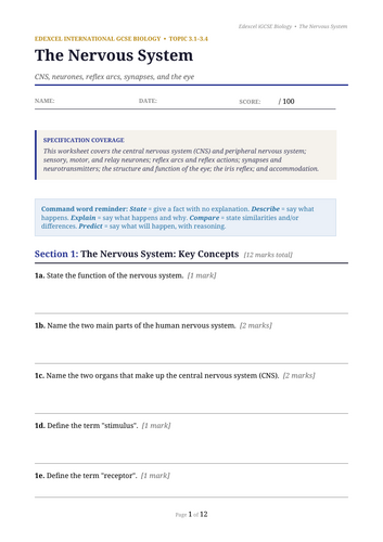 docx, 15.64 KB