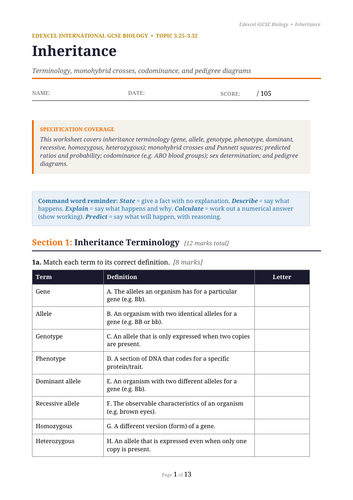 docx, 16.26 KB