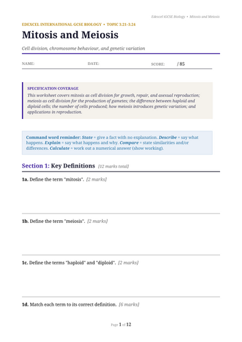 docx, 14.85 KB