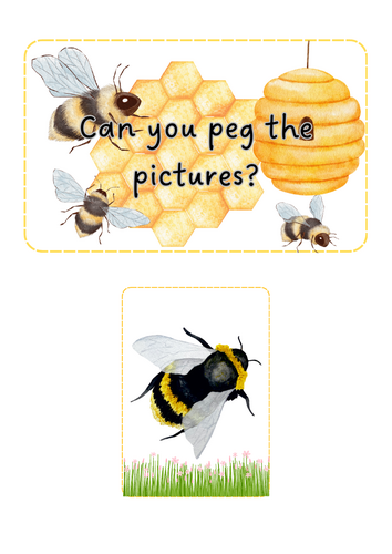 World Bee Day - Peg the Pictures