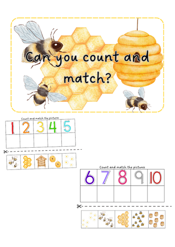 World Bee Day - Count and Match