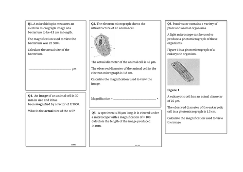 docx, 70.93 KB