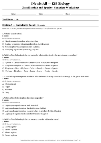 docx, 15.91 KB
