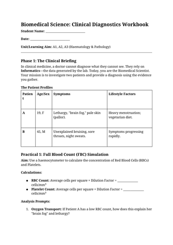 docx, 14.81 KB