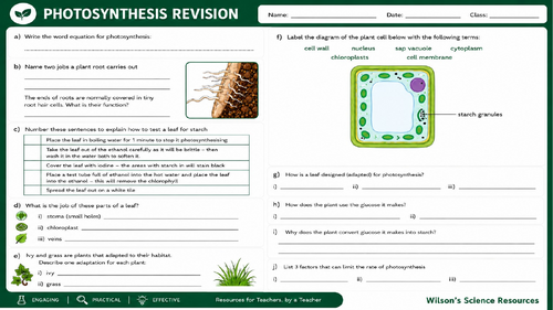 KS3/ KS4 Photosynthesis Revision Worksheet & Answers | Teaching Resources