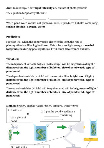 docx, 484.79 KB