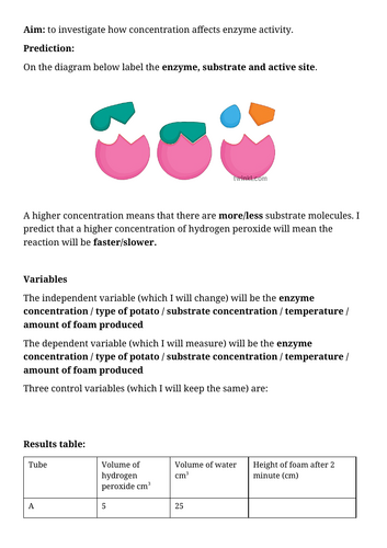 docx, 290.46 KB