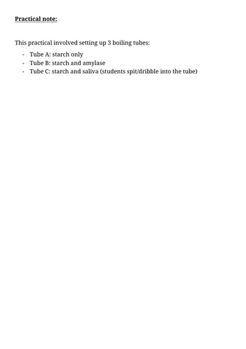 docx, 22.25 KB