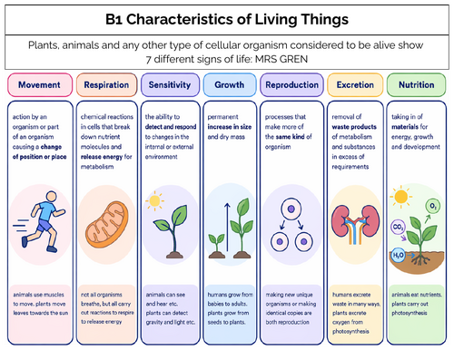 Biology Core Study Guide - CIE Coordinated Science | Teaching Resources