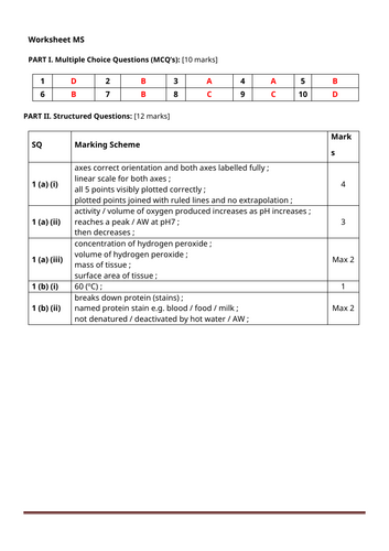 docx, 26.25 KB