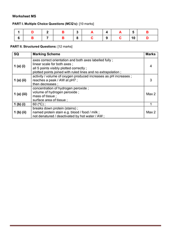 pdf, 138.51 KB