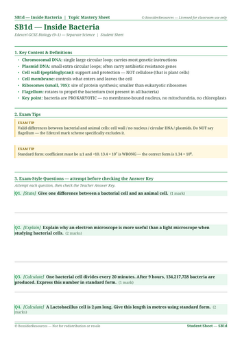 docx, 12.78 KB