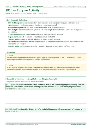 docx, 12.93 KB