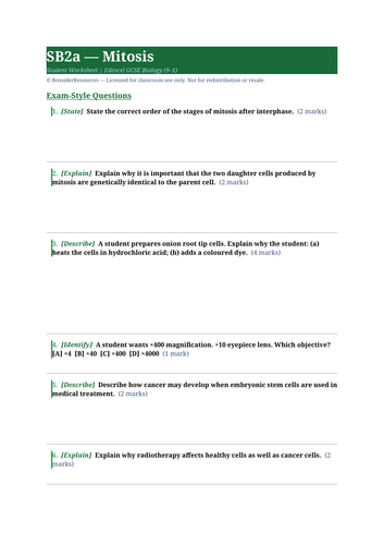 docx, 9.19 KB