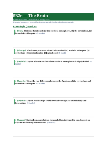 docx, 9.12 KB
