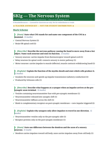 SB2g The Nervous System | Edexcel GCSE Biology Topic Mastery Pack